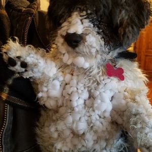 Meet your Posher, Vernon